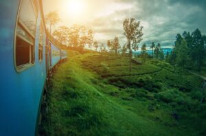 A train in Sri-Lanka driving into the sunset